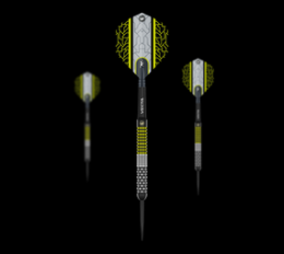 Winmau Team 360 Cori Wiltshire Steeldarts - 24g