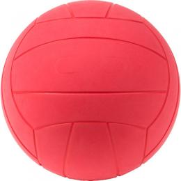 WV Blindenfußball